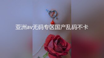 亚洲av无码专区国产乱码不卡