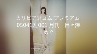 カリビアンコム プレミアム 050417_001 月刊　目々澤めぐ