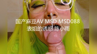 国产麻豆AV MSD MSD088 表姐的诱惑 陈小雨