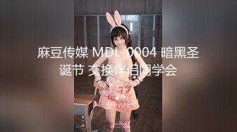 麻豆传媒 MDL-0004 暗黑圣诞节 交换伴侣同学会